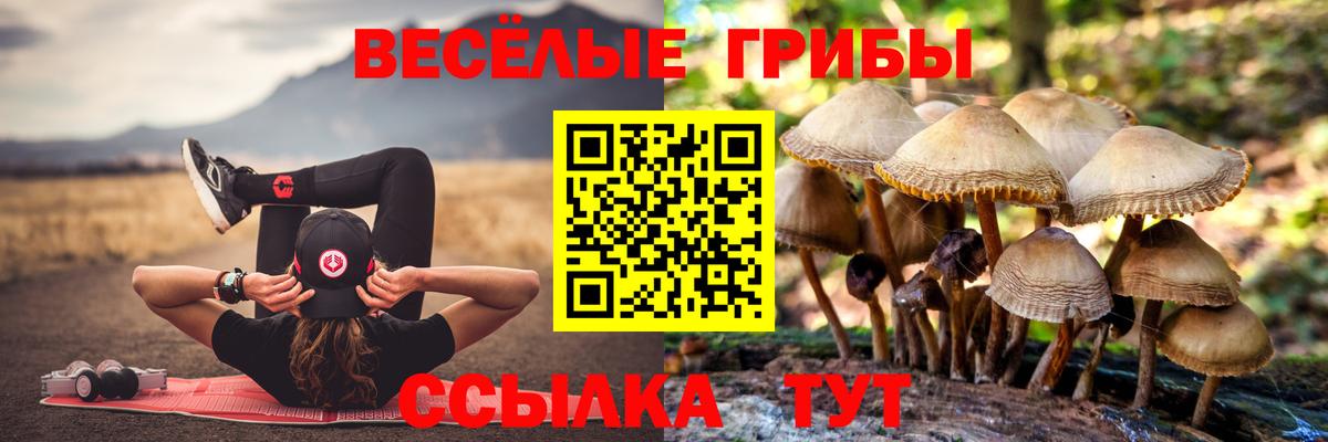 Галлюциногенные грибы Magic Shrooms  Вход с VPN  Щёлково 